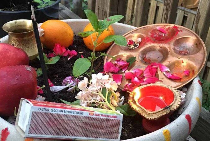 आज हरिशयनी एकादशी, घरघरमा तुलसी राेपिँदै