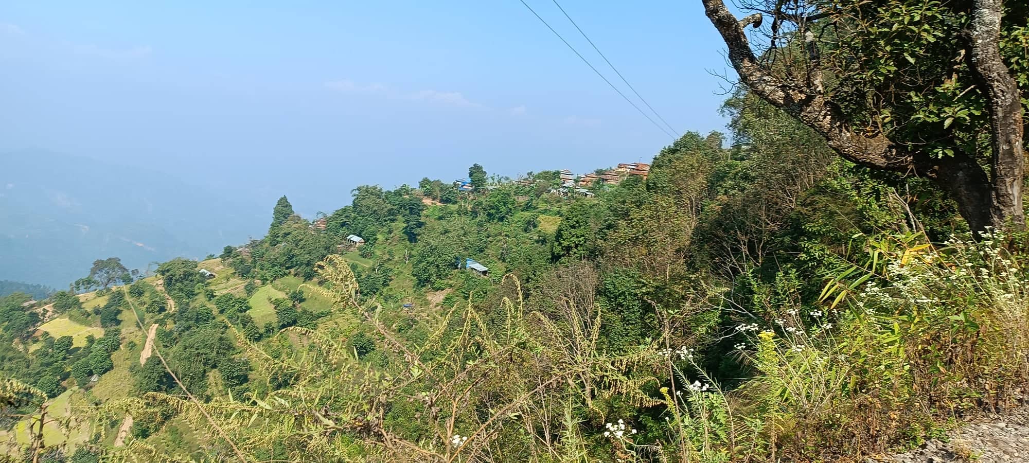 मतदाताको गुनासोः विद्युत् आएन तर भोट हाल्ने दिन आयो