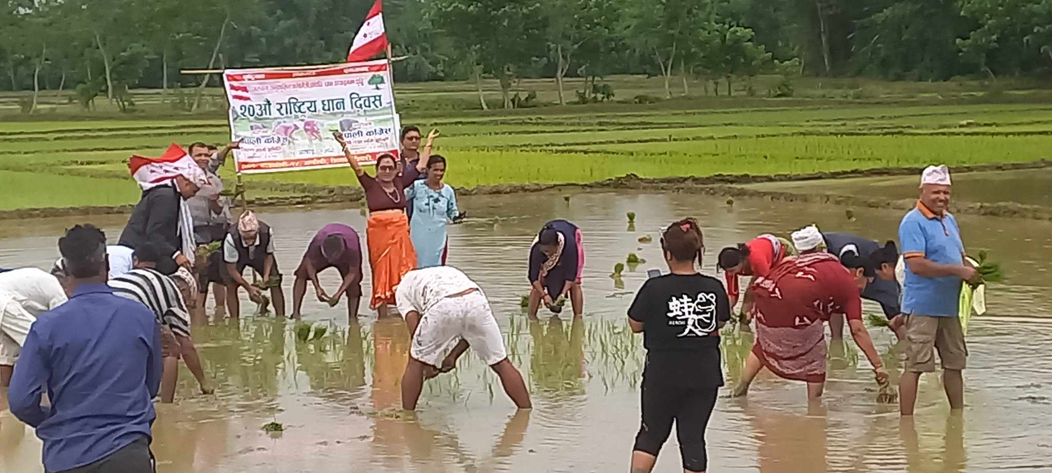 नवललपुर काङ्ग्रेसले मनायो धान दिवस