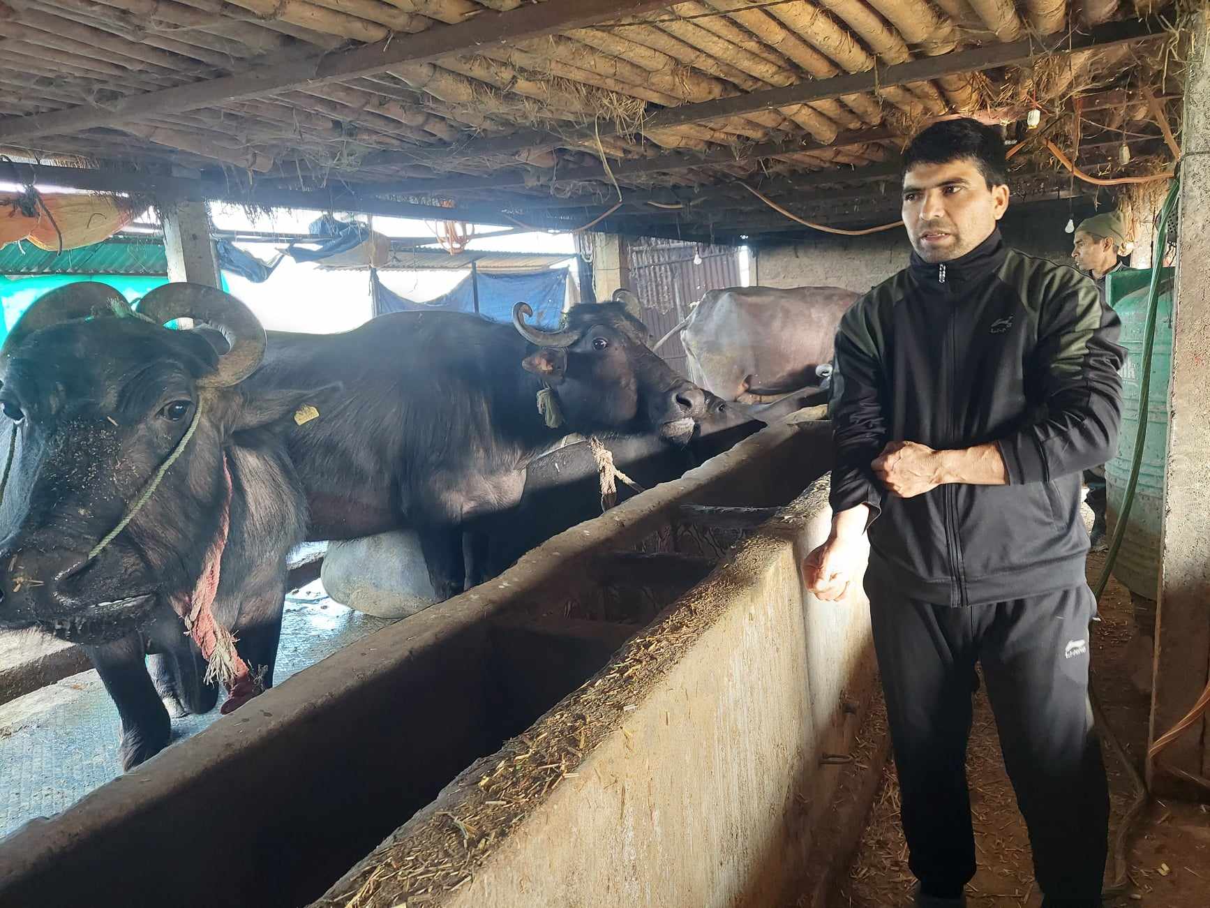 बिहान साँझ गोठ धन्दा, दिउँसो कक्षा कोठामा व्यस्त कावासोतीका गङ्गाधर न्यौपाने