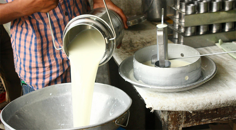 दूध बिक्री नभएपछि दैनिक ४२ लाख घाटा बेहोर्दै चितवनका किसान