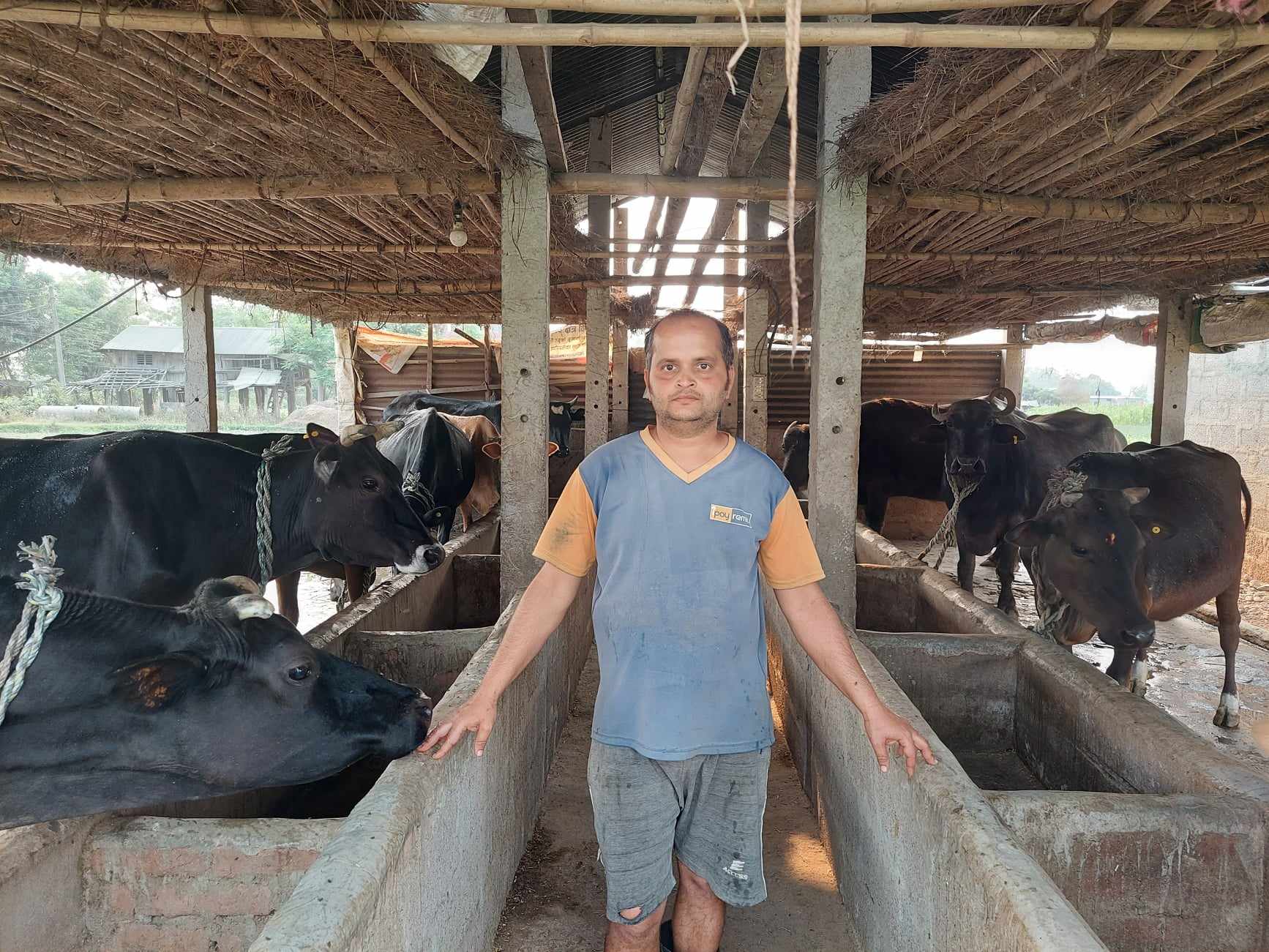 पशुपालनमा रमाएका कावासोतीका नवराज
