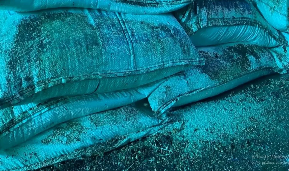 नवलपरासीको महेशपुर भन्सारको गोदाममै सड्यो करोडौँको चिनी