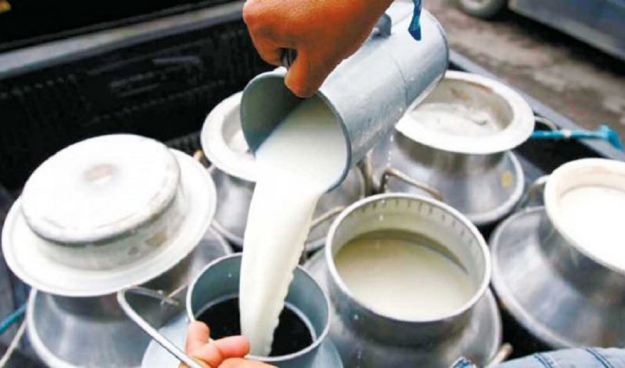 हुप्सेकोट गाउँपालिकामा अनुदान कार्यक्रमले दूध उत्पादनमा वृद्धि