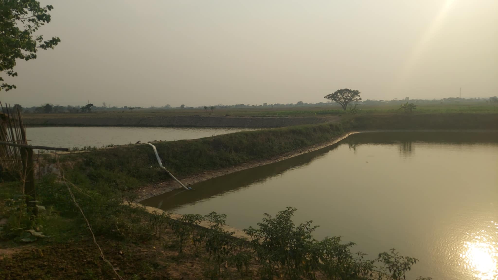 नवलपरासी पूर्वमा माछापालनप्रति किसानको आकर्षण बढ्दो