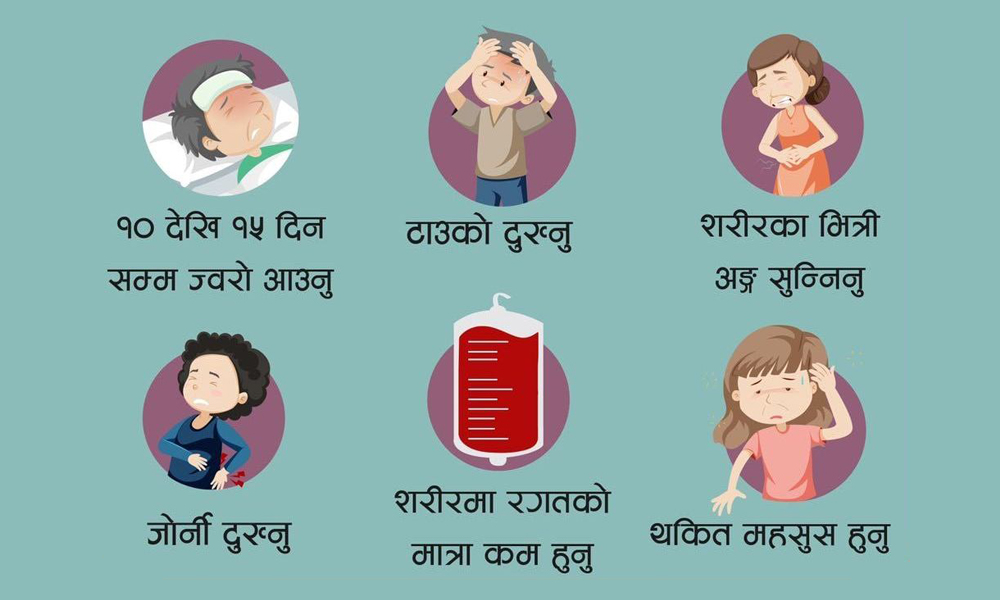नवलपुरमा यो वर्ष ७ जना औँलोका बिरामी भेटिए
