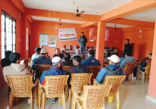 कागती ब्यवसायी संघमा गिरी 