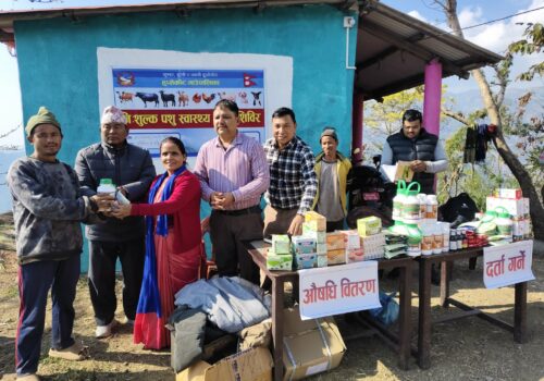 हुप्सेकोटको पाङग्रेममा निःशुल्क पशु स्वास्थ्य घुम्ती शिविर