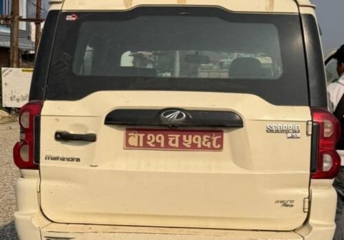 देवचुलीमा गाडीको ठक्कर वाट एक विद्यार्थीको मृत्यु, एक घाइते