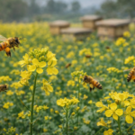 कावासोतीमा महको दररेट निर्धारण, समन्वय बिना मौरी ल्याए कारबाही गरिने