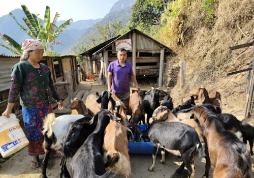 व्यावसायिक कृषिमा रमाउँदै हुप्सेकाेटका खेम रजाली